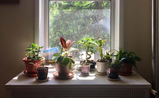 My living room. We’ve taken this strategy a bit far…