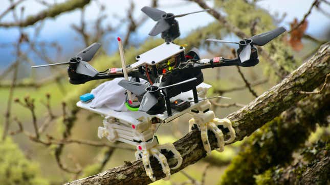 Imagen para el artículo titulado Investigadores de Stanford crean un dron con garras que puede aferrarse a las ramas de los árboles
