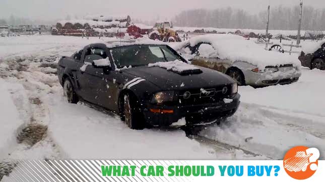 Image for article titled My Mustang Got Totalled In A Snowstorm! What Car Should I Buy?