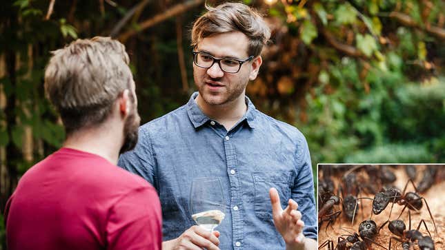 Image for article titled Man Who Just Watched Nature Documentary Going Way Overboard With Newfound Appreciation Of Ants