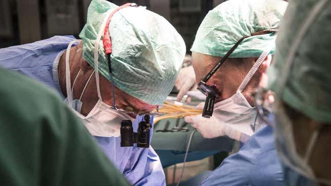 Imagen para el artículo titulado Por primera vez, los cirujanos trasplantan hígado humano conservado fuera del cuerpo durante 3 días