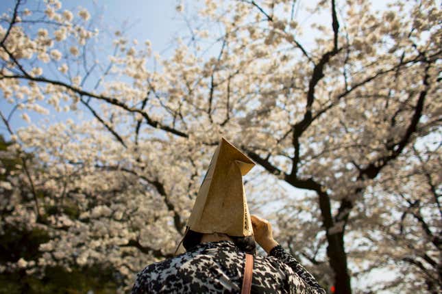 A woman covers her hair with a Starbucks bag in Ueno Park in Tokyo.