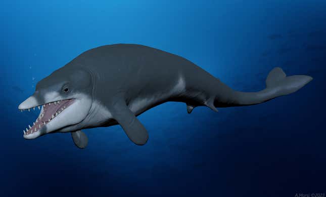 A life reconstruction of the small Eocene whale T. rayanensis.