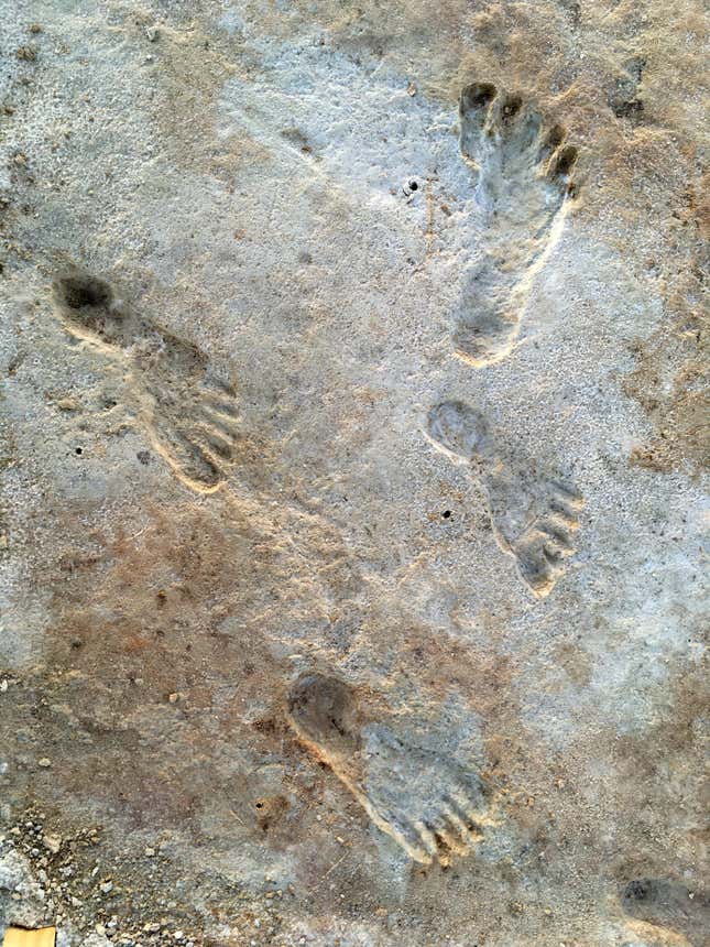 Footprints at the site