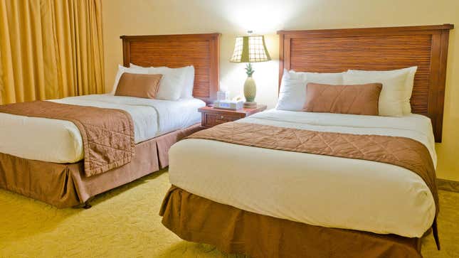 Image for article titled These Are the Best Cheap Hotel Chains in the U.S., According to Guests