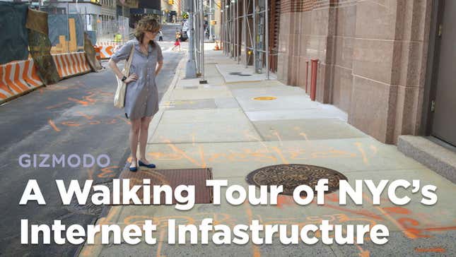 How to See the Internet Hiding in Plain Sight<em></em>