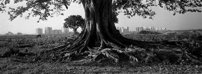 New Town, Kolkata