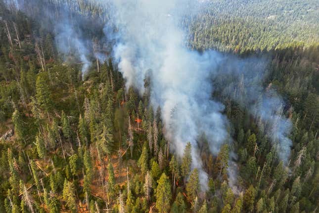 Part of Yosemite National Park has been closed as a wildfire quintupled in size near a grove of California’s famous giant sequoia trees, officials said. Photo from Friday, July 8.