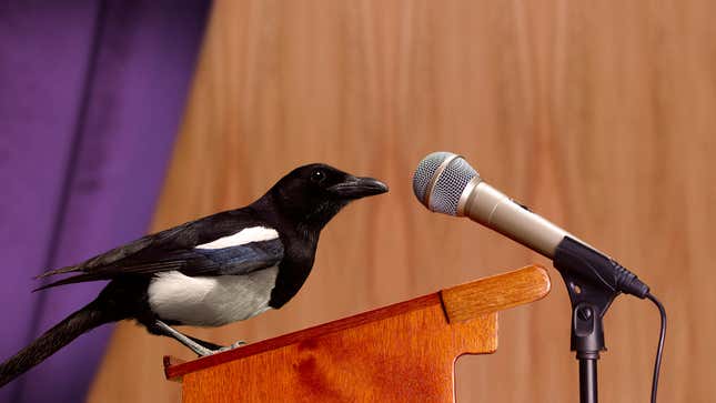 Image for article titled Bird That Can Read Everyone’s Thoughts Welcomed As Keynote Speaker Of Psychedelics Conference