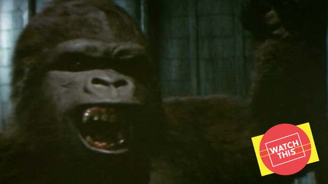 Image for article titled The ’70s King Kong launched and damaged the career of a young Jessica Lange