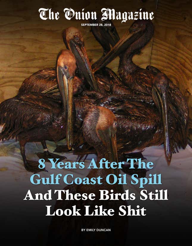 Image for article titled 8 Years After The Gulf Coast Oil Spill And These Birds Still Look Like Shit