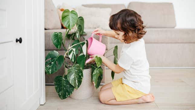 Image for article titled Why Your Kid Needs a Plant