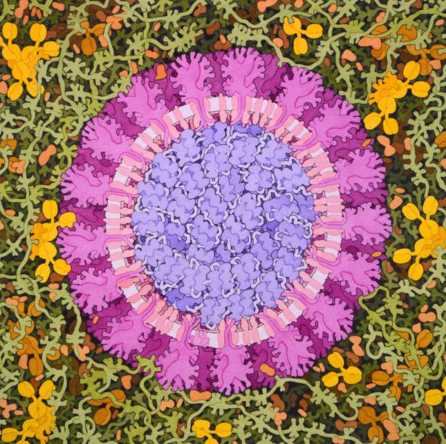 Una pintura de acuarela de un coronavirus que ingresa a los pulmones, rodeado de moco.