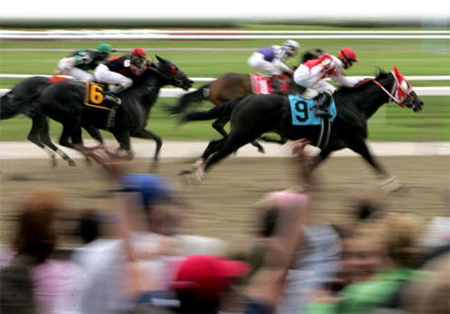 Image for article titled Handicapping The 2008 Belmont Stakes
