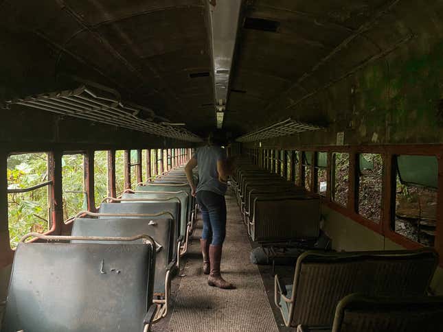 Image for article titled This Vintage Train Rotting In The Woods Of Tennessee Has A Sad Story