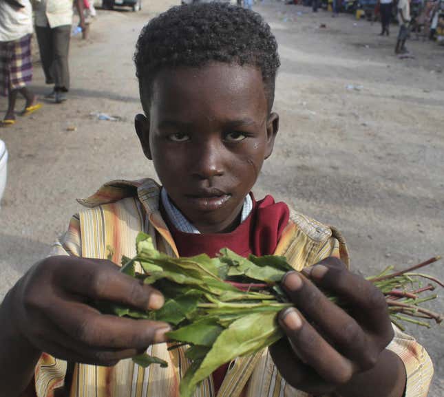 Children selling khat in Mogadishu, Somalia.