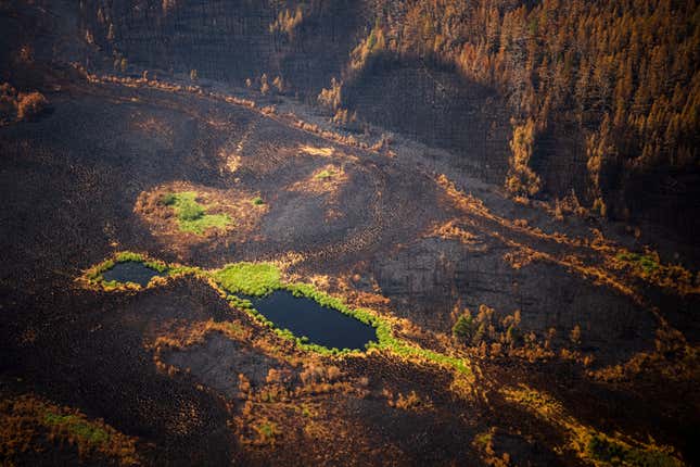 This aerial picture taken on July 27, 2021, shows a burned forest at Gorny Ulus area west of Yakutsk, in the republic of Sakha, Siberia. 