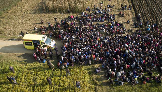 Image for article titled Photos: Hero Slovenian waiter delivers pizza to hungry migrant kids