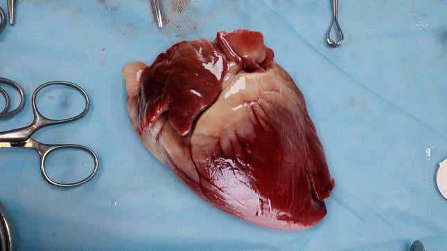 Image for article titled Bullshit Alternative Medical Procedures You Should Never Have Done