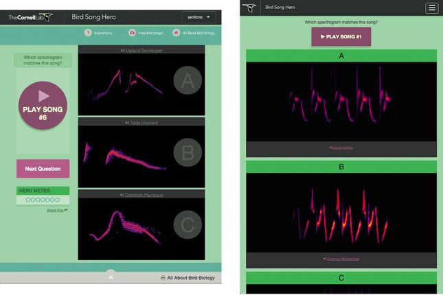 Bird Song Hero also works on tablets (left) and mobile phones. Screenshot courtesy the Cornell Lab of Ornithology.