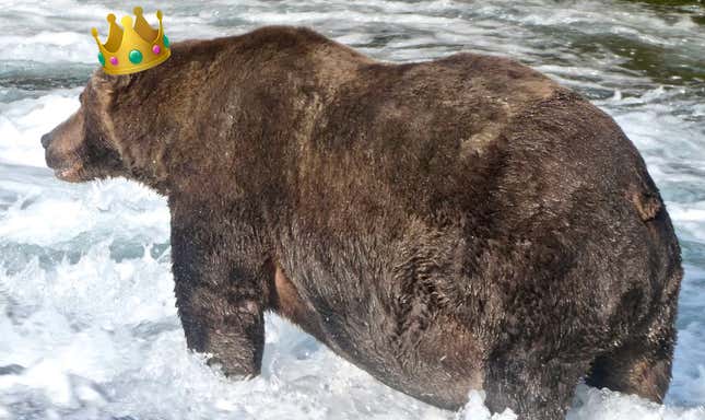 All Hail 747, Your Hefty Fat Bear Champion of 2020