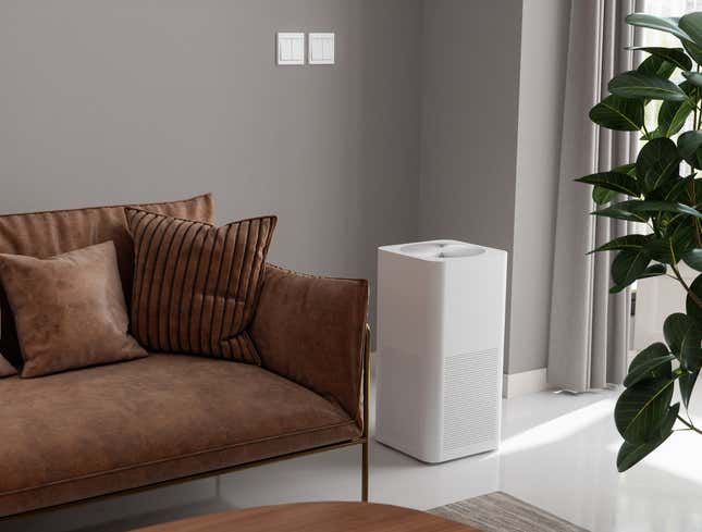 Image for article titled Air Purifier Gobbles Up Last Whiff Of Dead Wife’s Scent