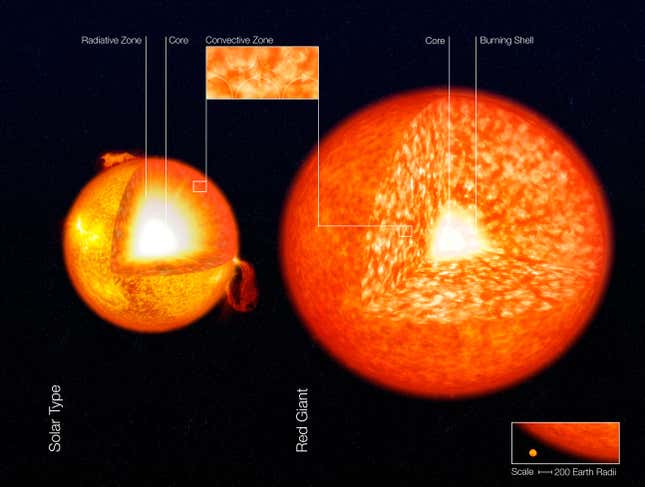 Internal structure of a Sun-like star and a red giant.