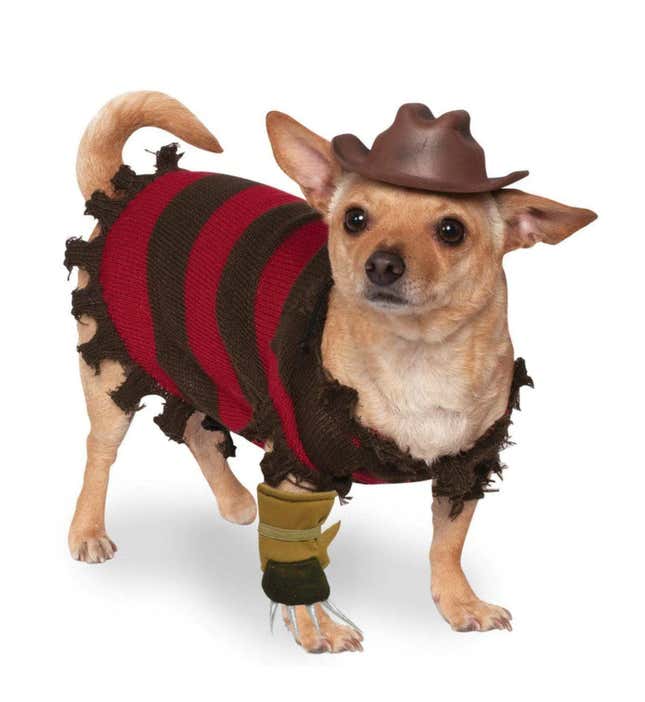 Nightmare on Elm Street Dog Costume x WB Shop