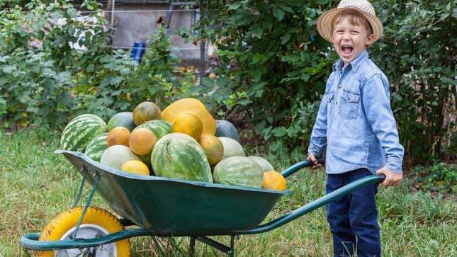 Image for article titled 10 of the Best Crops to Grow With Children
