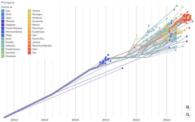 How Zika virus mutated over the years.