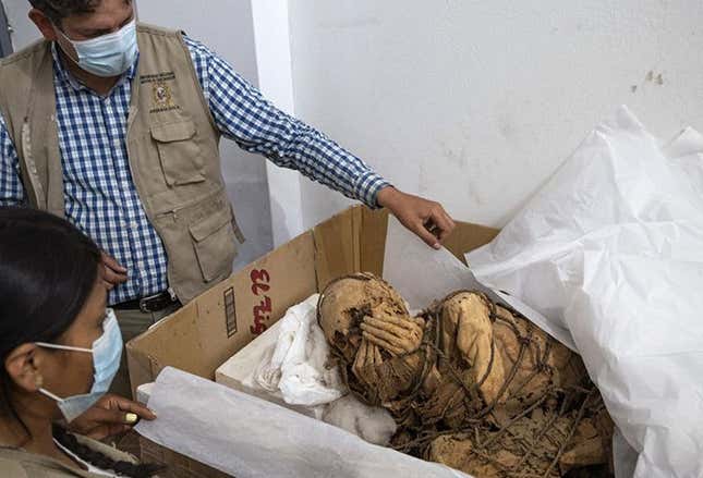 Imagen para el artículo titulado Descubren una momia de 1.200 años de un joven atado con una cuerda