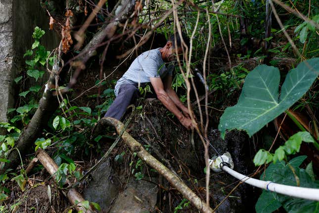 puerto ricans collect water from the mountain after hurricane maria