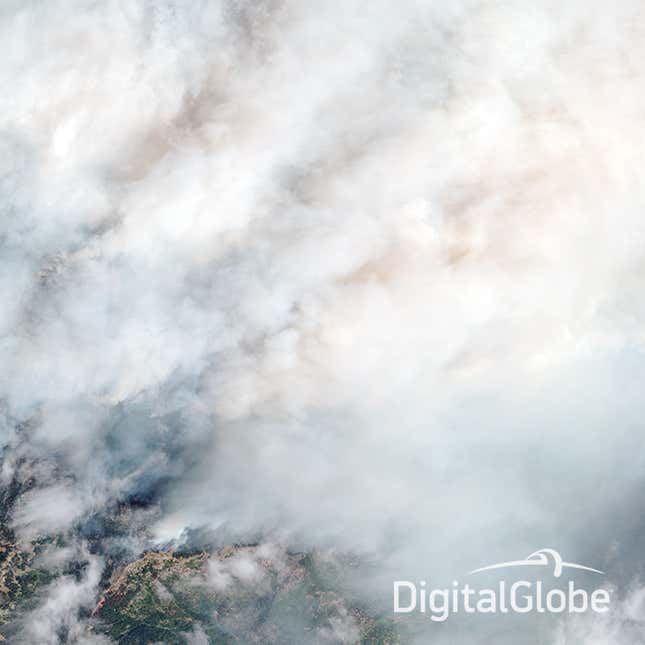 Image for article titled A new satellite can see through forest fires from space