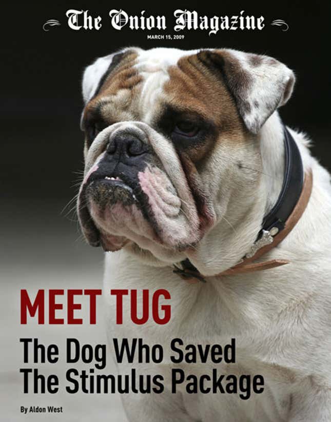 Image for article titled Meet Tug: The Dog Who Saved The Stimulus Package