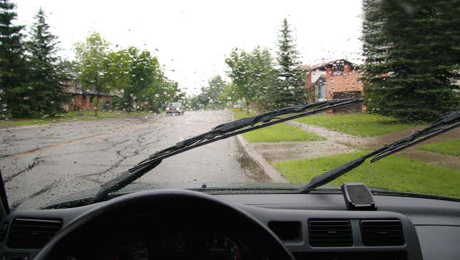 Image for article titled Lovebird Windshield Wipers Gleefully Chasing Each Other Through Rain