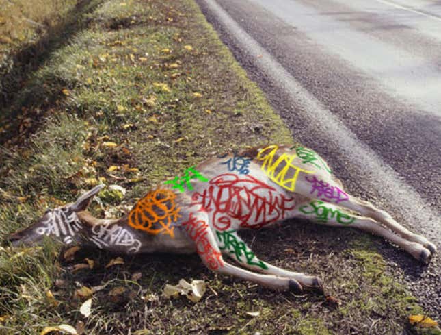 Image for article titled Dead Deer By Side Of Road Covered In Graffiti