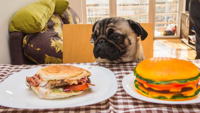 Image for article titled Dog a goddamn food critic