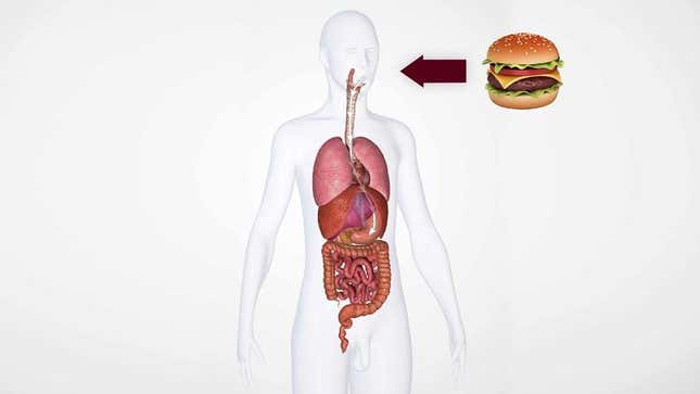 Image for article titled Lunch Barely Misses Area Man’s Vital Organs