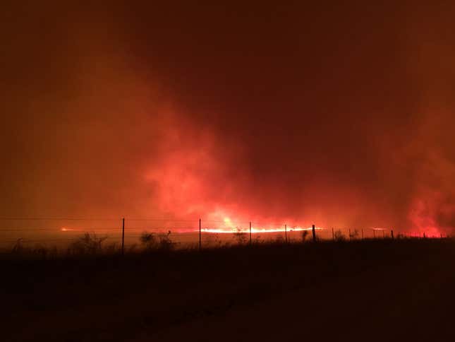 Photo Courtesy of Heston Williams