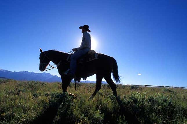 This old boy headed out for that thar horizon with the clothes he had on his back after the onset of RHS last month.