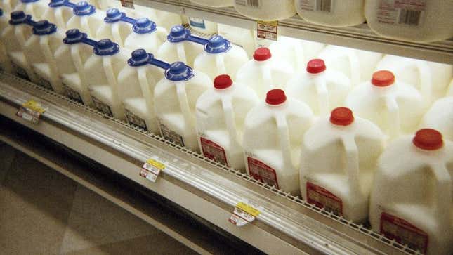 Image for article titled Woefully Misguided Man Stocking Up On Gallons Of Milk For Armageddon