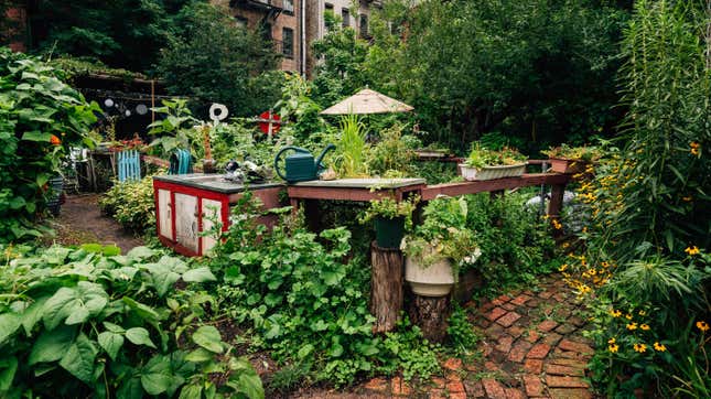 Image for article titled How to Join a Community Garden
