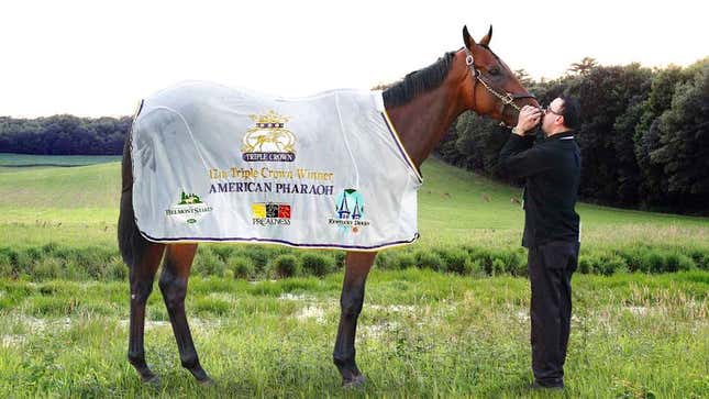 Image for article titled Owner Tearfully Releases American Pharoah After Triple Crown Win