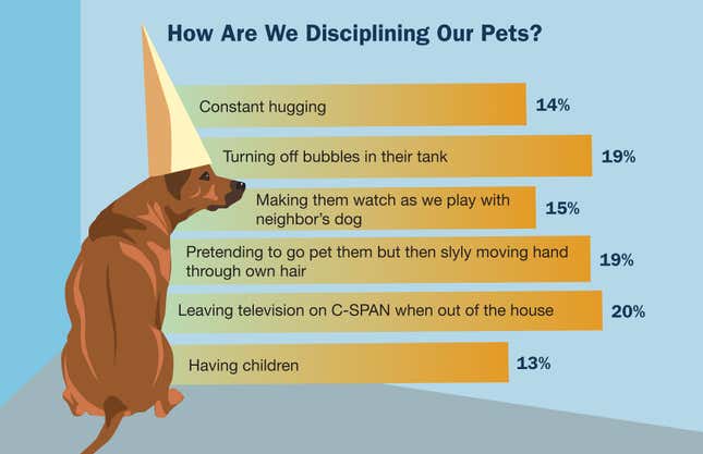 Image for article titled How Are We Disciplining Our Pets?