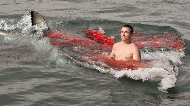 Image for article titled Being Eaten Alive By Shark Not Nearly As Terrifying As Man Had Imagined