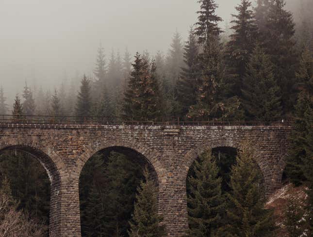 Image for article titled Report: Bridge Probably Has Whole Mess Of Bats Under There