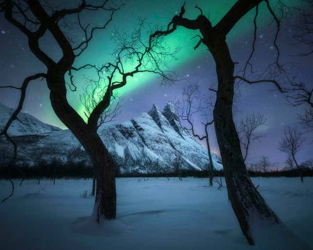Imagen para el artículo titulado Relájate y disfruta con las imágenes ganadoras del concurso The International Landscape Photographer of the Year