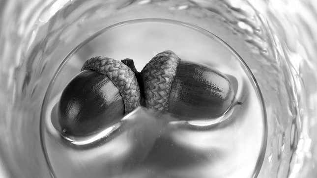 Image for article titled Wedding Album Off To Bizarre Start With Photo Of 2 Acorns Floating In Glass Of Water