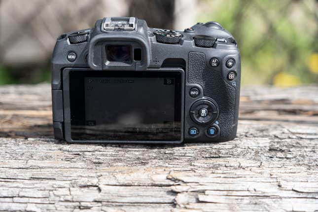 Image for article titled I Pitted Canon's 'Affordable' EOS RP Against My Beloved Sony A7 III