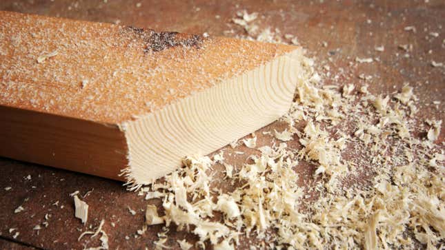 Image for article titled Save Your Sawdust for These Household Hacks